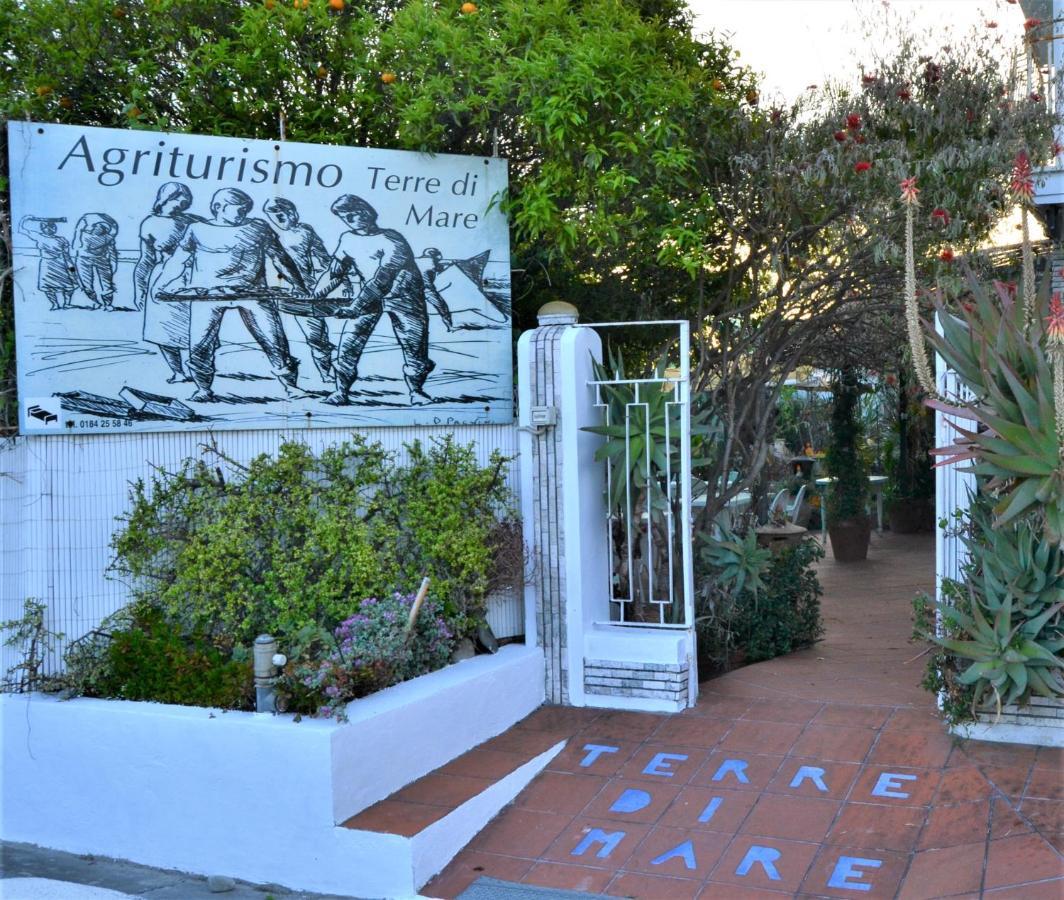 Agriturismo Terre Di Mare Bordighera Vallecrosia Kültér fotó