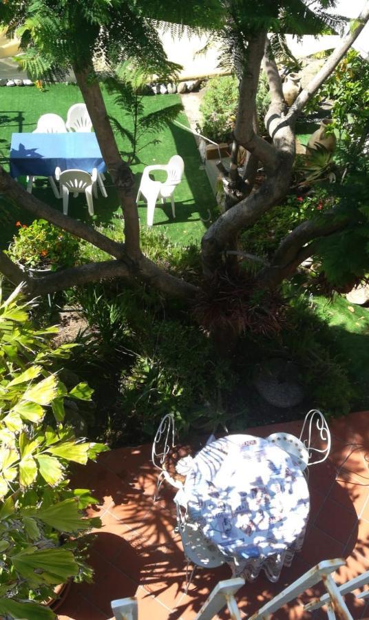 Agriturismo Terre Di Mare Bordighera Vallecrosia Kültér fotó