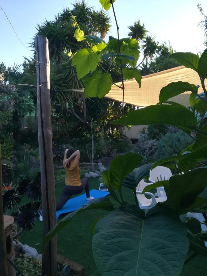 Agriturismo Terre Di Mare Bordighera Vallecrosia Kültér fotó