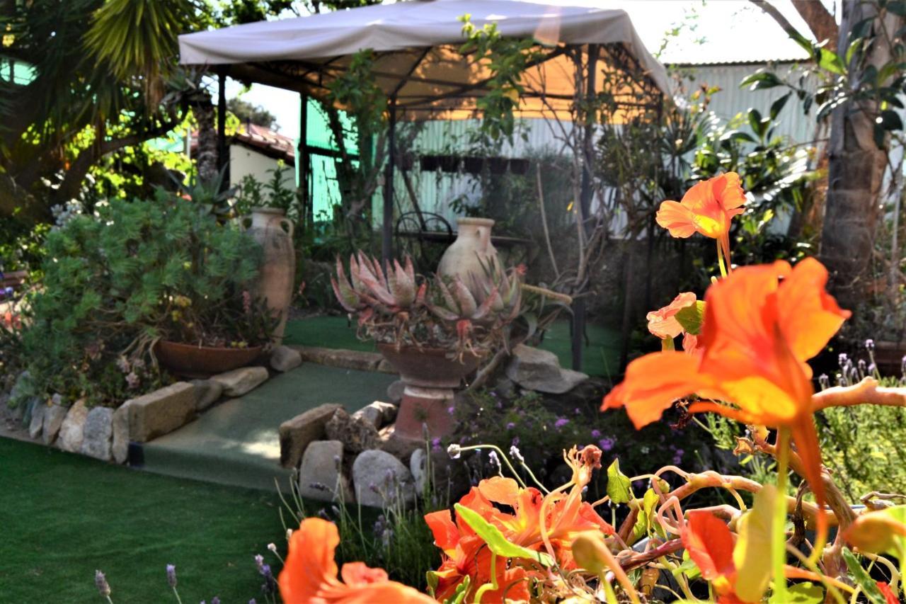 Agriturismo Terre Di Mare Bordighera Vallecrosia Kültér fotó